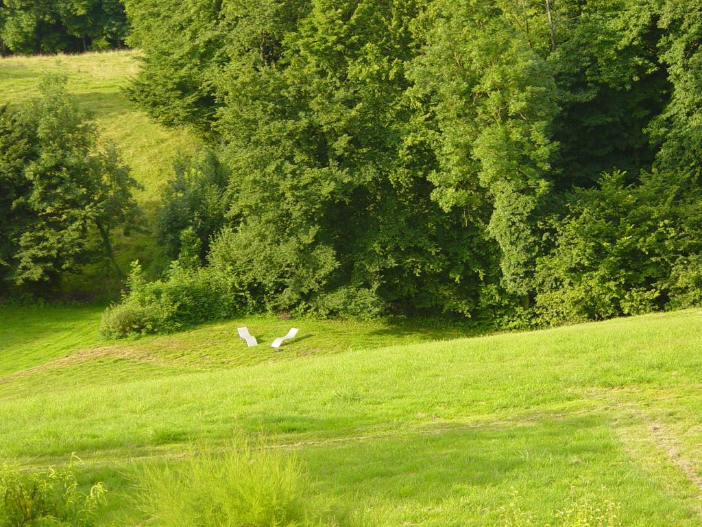 Saint-Genix-sur-Guiers La Parenthese Bed & Breakfast エクステリア 写真