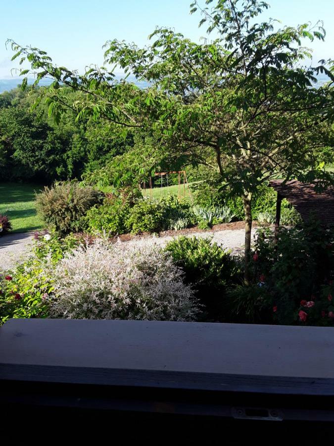 Saint-Genix-sur-Guiers La Parenthese Bed & Breakfast エクステリア 写真